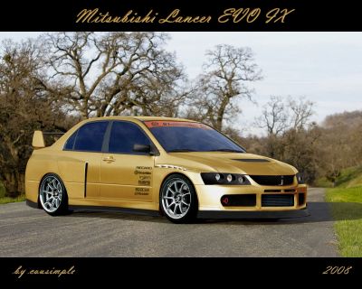 normal_Mitsubishi_Lancer_EVO_IX_kopie_at[1].jpg